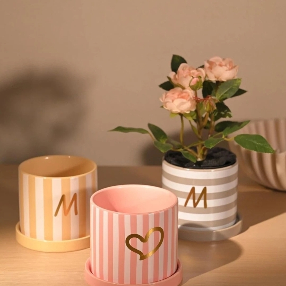 3pc "Mom" Small Colorful Striped Ceramic Plant Pots with Drainage and Saucers